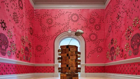 JENNIFER ANGUS GLUES BUGS TO THE WALLS