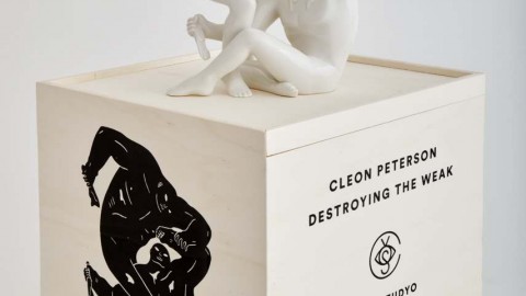 DESTROYING THE WEAK by CLEON PETERSON X CASE STUDYO