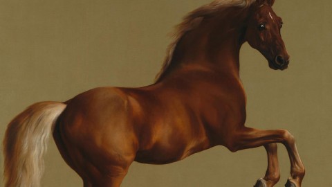 Whistlejacket – about 1762, George Stubbs