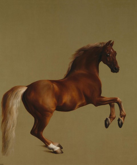 Whistlejacket – about 1762, George Stubbs